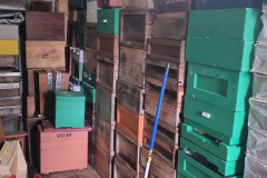 Apiary-Clean-up-2026-6