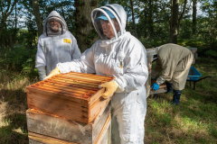 Removal-of-Supers