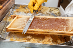 Uncapping-Bread-Knife
