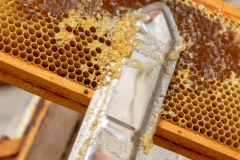 Uncapping-Heated-Knife