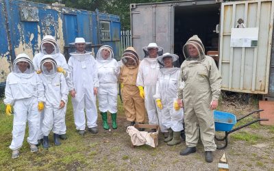 Apiary Honey Extraction and Hive Report 13 August 2023
